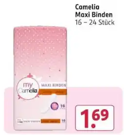 Rossmann Camelia Maxi Binden Angebot