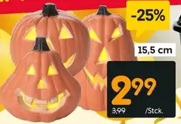 Rusta Halloween-Kürbisse Angebot