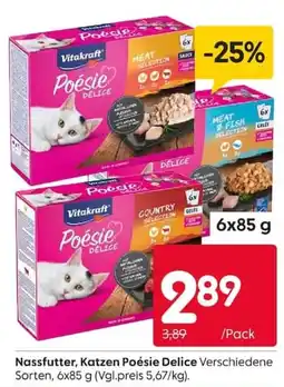 Rusta Katzen Poésie Delice Angebot