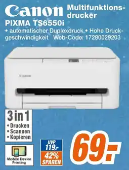 Expert Klein Canon Multifunktionsdrucker PIXMA TS6550i Angebot