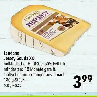 CITTI Markt Landana Jersey Gouda Xo Angebot