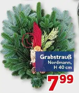 CENTERSHOP Grabstrauss Nordmann Angebot
