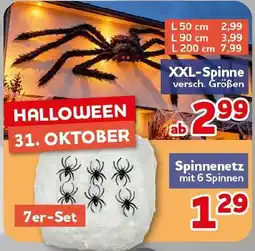 CENTERSHOP XXL-Spinne Angebot