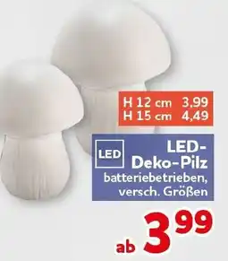 CENTERSHOP LED-Deko-Pilz Angebot