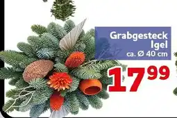 CENTERSHOP Grabgesteck Igel Angebot
