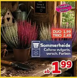 CENTERSHOP Garden Girls Sommerheide Angebot