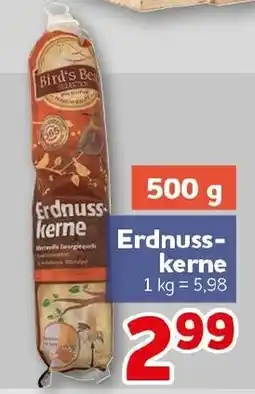 CENTERSHOP Bird's Best Erdnusskerne Angebot