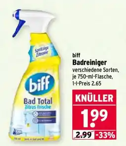 Wasgau biff Badreiniger Angebot