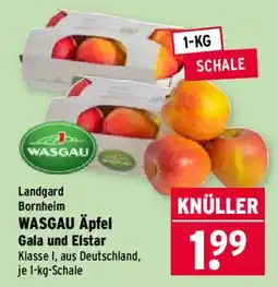 Wasgau WASGAU Äpfel Angebot