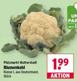 Wasgau Blumenkohl Angebot