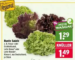 Wasgau Bunte Salate Angebot
