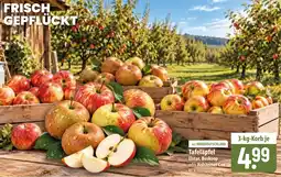 Famila Nord Ost Tafeläpfel Elstar, Boskoop oder Holsteiner Cox Angebot