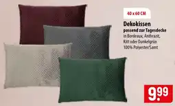 Famila Nord Ost Dekokissen Angebot