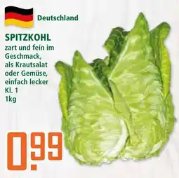 Klaas und Kock SPITZKOHL Angebot