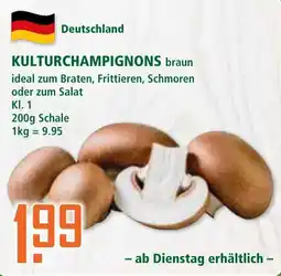 Klaas und Kock KULTURCHAMPIGNONS braun Angebot