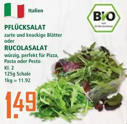 Klaas und Kock PFLÜCKSALAT Angebot