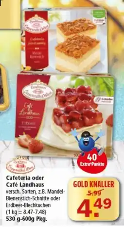 Multi Markt Cafeteria oder Café Landhaus Angebot