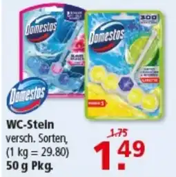 Multi Markt Domestos WC-Stein Angebot