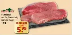 Multi Markt BauernGut Schnitzel Angebot