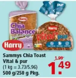Multi Markt Sammys Chia Toast Vital & pur Angebot