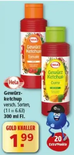 Multi Markt Gewürzketchup Hela Angebot