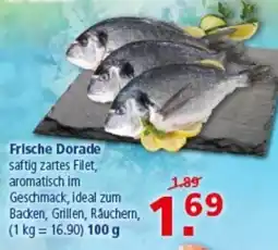 Multi Markt Frische Dorade Angebot