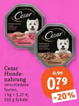 tegut Cesar Hunde-nahrung Angebot