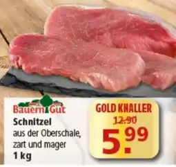 Multi Markt BauernGut Schnitzel Angebot