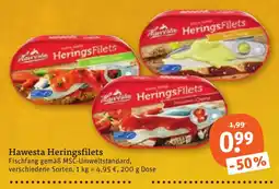 tegut Hawesta Heringsfilets Angebot