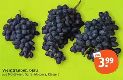 tegut Weintrauben, blau Angebot