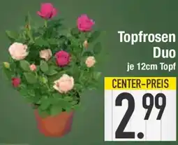 E-Center Topfrosen Duo Angebot