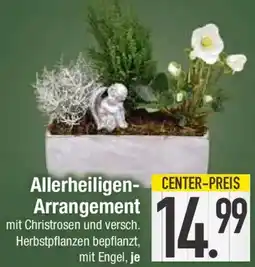 E-Center Allerheiligen Arrangement Angebot