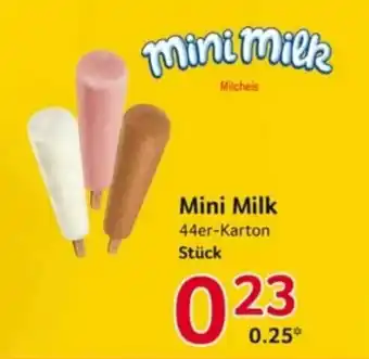 Selgros Mini Milk Angebot