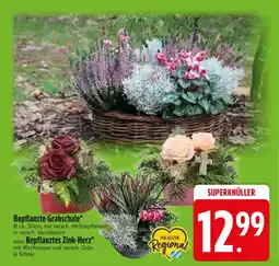 Edeka Bepflanzte Grabschale oder Bepflanztes Zink-Herz Angebot