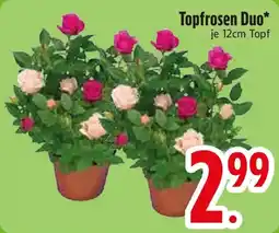 Edeka Topfrosen Duo* Angebot
