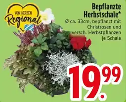 Edeka Bepflanzte Herbstschale* Angebot