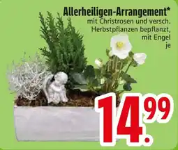 Edeka Allerheiligen-Arrangement* Angebot