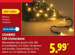 Lidl LIVARNO LED-Lichterkette Angebot