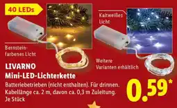 Lidl LIVARNO Mini-LED-Lichterkette Angebot