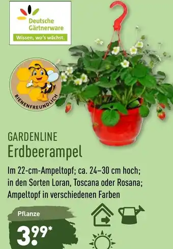 Aldi Nord Gardenline Erdbeerampel Angebot