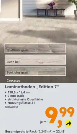 Globus Baumarkt Laminatboden „Edition 7“ Angebot