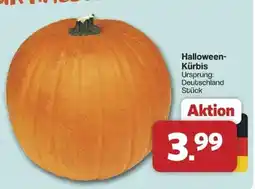 Famila Nord West Halloween-Kürbis Angebot