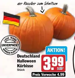 HIT Deutschland Halloween Kürbisse Angebot
