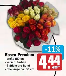 HIT Rosen Premium Angebot