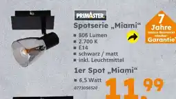 Globus Baumarkt PRIMASTER Spotserie „Miami“ Angebot