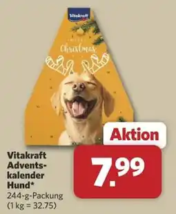 Combi Vitakraft Adventskalender Hund Angebot