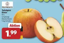 Combi HOFWERTE Tafeläpfel Elstar Angebot