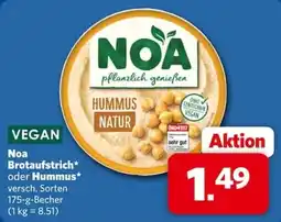 Combi Noa Brotaufstrich oder Hummus Angebot