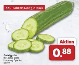 Famila Nord West Salatgurke Angebot