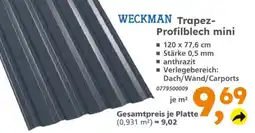 Globus Baumarkt WECKMAN Trapez-Profilblech mini Angebot